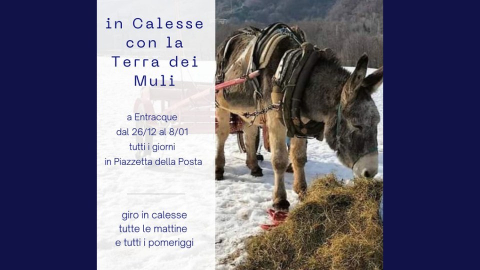 In Calesse con la Terra dei Muli